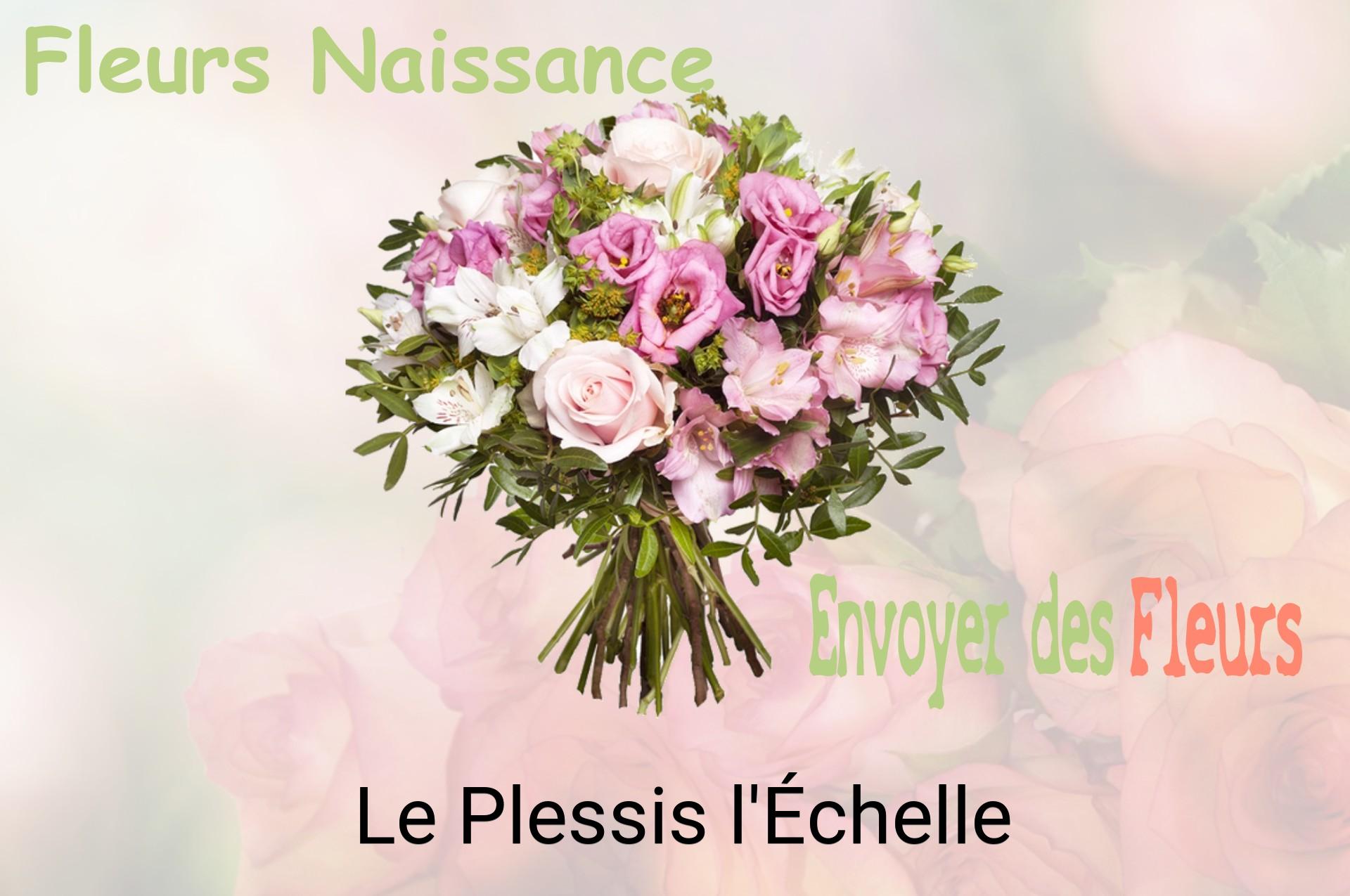 Bouquet de fleurs de naissance livré à Le Plessis-l'Échelle