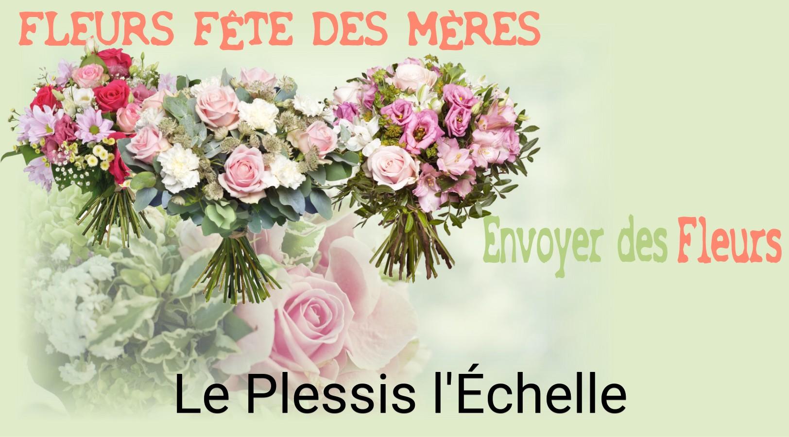 Bouquet de Fête des Mères livré à Le Plessis-l'Échelle